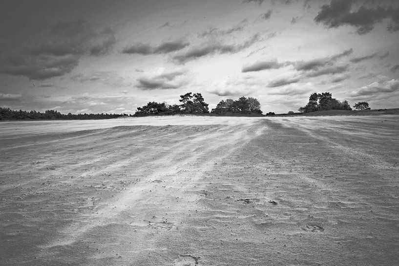 Zandverstuiving bij Kootwijkerzand van Incanto Images