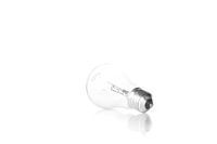 High Key Lamp Lightbulb