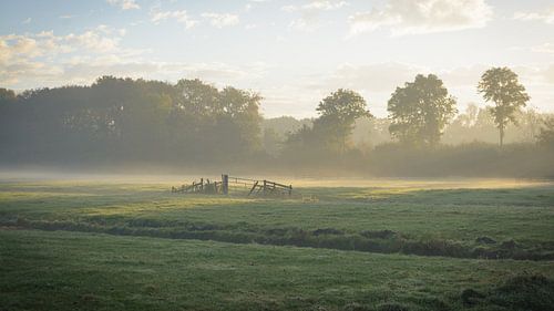 Een koude ochtend met het weiland bij Oud Zuilen (Utrecht) in de mist