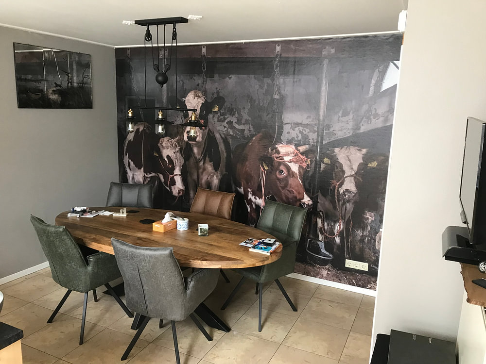Kühe im alten Kuhstall, von Inge Jansen