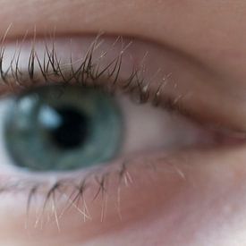 Gino Husson Profilfoto