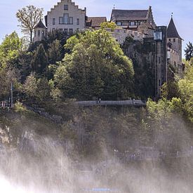 SEHENSWÜRDIGKEITEN : SCHWEIZ - RHEINFALL - SCHLOSS LAUFEN von Michael Nägele