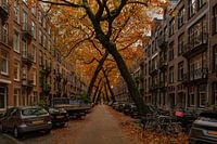 Amsterdam Lomanstraat