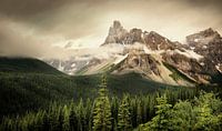 Canada - Rocky Mountains van Kees van Dongen thumbnail