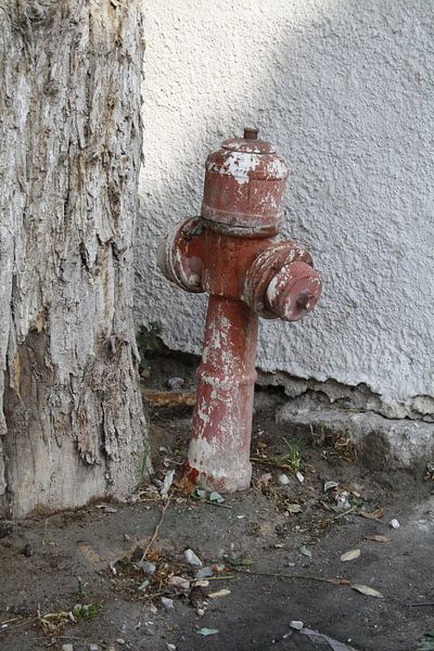 Griekse brandkraan op Lesbos von Jetty Boterhoek