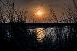 Sunset by Gwendolyn Pieters