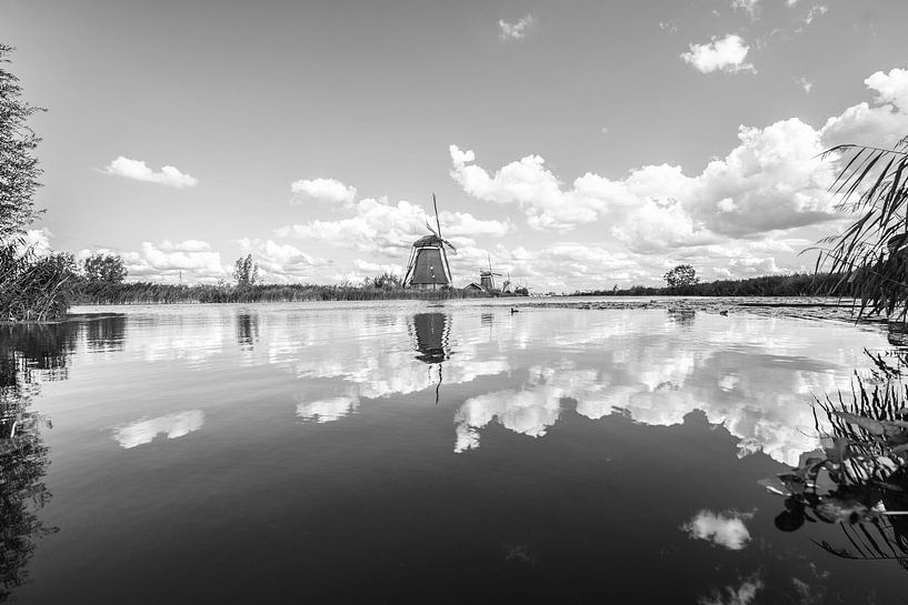 Kinderdijk in black and white. by Brian Morgan
