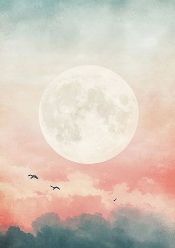 Maan Wolken Lucht Vogels