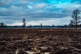 Hondsrug by MDGshots