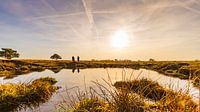 The Veluwe, the Dutch Savannah with the sun setting