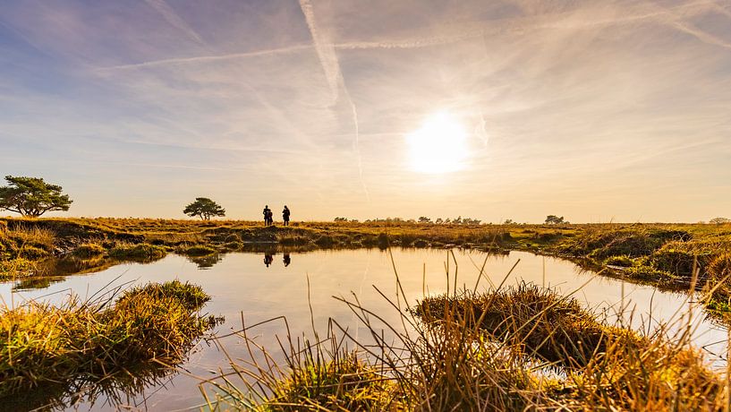 Le Veluwe, la savane hollandaise au soleil couchant par Arjan Almekinders