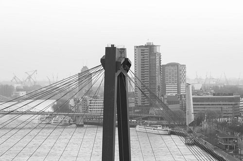 Het kijkje door de Willemsbrug in Rotterdam