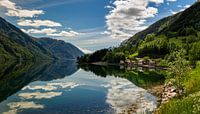 Reflections on the Hardangerfjord, Norway