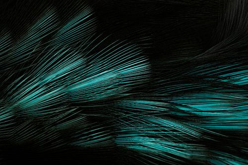 Verenpracht ijsvogel