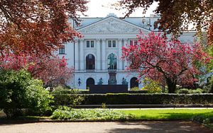 Altonaer Rathaus von 1898, Nordseite, Sitz Bezirksamt Hamburg-Altona, Bezirksversammlung,  Park vor 