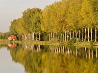 Herfstlandschap