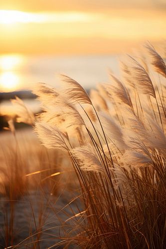 Beach Impressions No 12