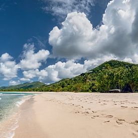 Tropischer Karibik Strand von Voss Fine Art Fotografie