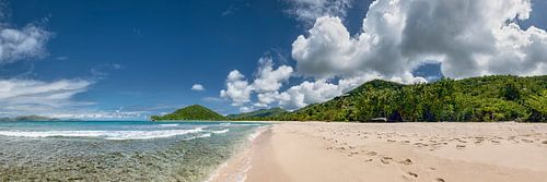 Tropical Caribbean beach by Voss photography