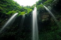Madakaripura Waterval - Oost-Java, Indonesië van Martijn Smeets thumbnail