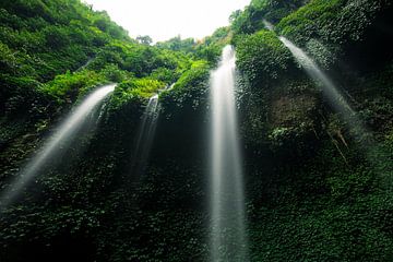 Madakaripura Waterval - Oost-Java, Indonesië