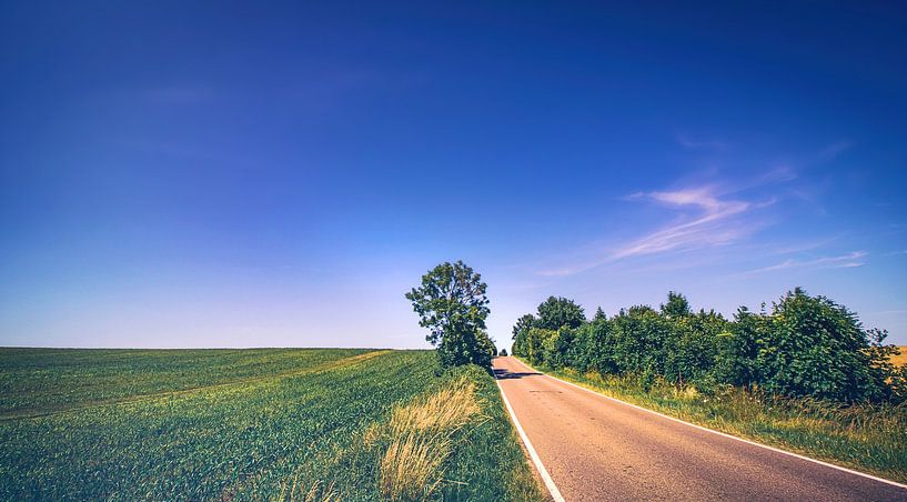 De weg naar nergens - weg tussen veld en weide in het midden van de regio Nier van Jakob Baranowski - Photography - Video - Photoshop