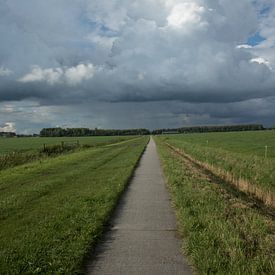 Fietspad in de weilanden van Martijn Aleman