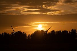 Abendsonne von Maaike Krimpenfort