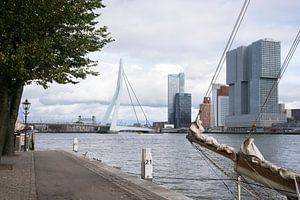 Zicht op de Wilhelminapier, Rotterdam (kleur) van Rick Van der Poorten