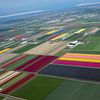 Bloemenvelden vanuit de lucht onder Den-Helder van Arjan Groot