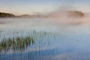 Morgenstimmung am See