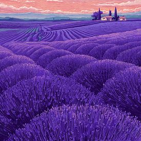 Champ de lavande au coucher du soleil sur Pixelbull Design