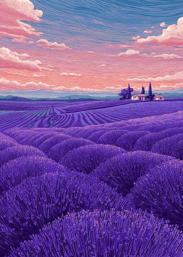 Lavendelveld bij zonsondergang