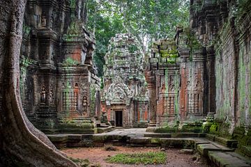 Angkor Wat van Antwan Janssen