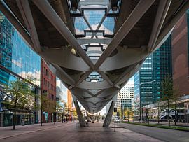 Onder de Netkous is the popular name for the tram viaduct built between 2004 and 2006 in the Hague d by Jolanda Aalbers