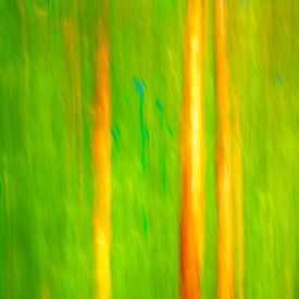 INSEL FISCHLAND-DARSS-ZINGST ICM - straws von Bernd Hoyen