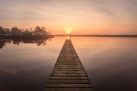 Bridge to the Sun