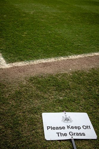 Newcastle United stadium in Newcastle