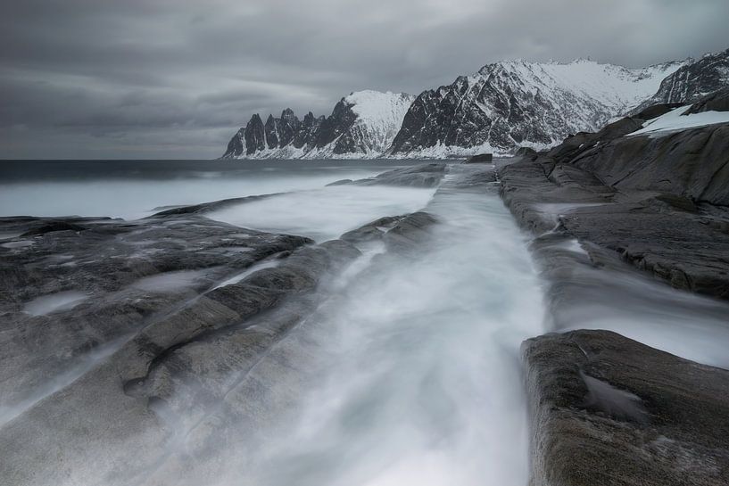 Tugeneset by Wojciech Kruczynski