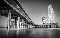 De Pier van Scheveningen