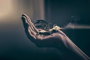 Magische Fotomanipulation: Babydrache auf einer Frauenhand - Verzauberung in Ihrem Interieur
