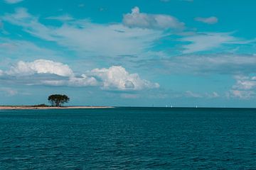 Île sur Sophie Luther