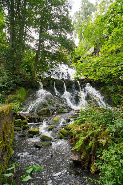 Kleine waterval in het bos met mos op stenen van Martin Köbsch