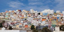 Grote Kanarie van t.ART