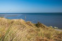 Duinen op Terschelling