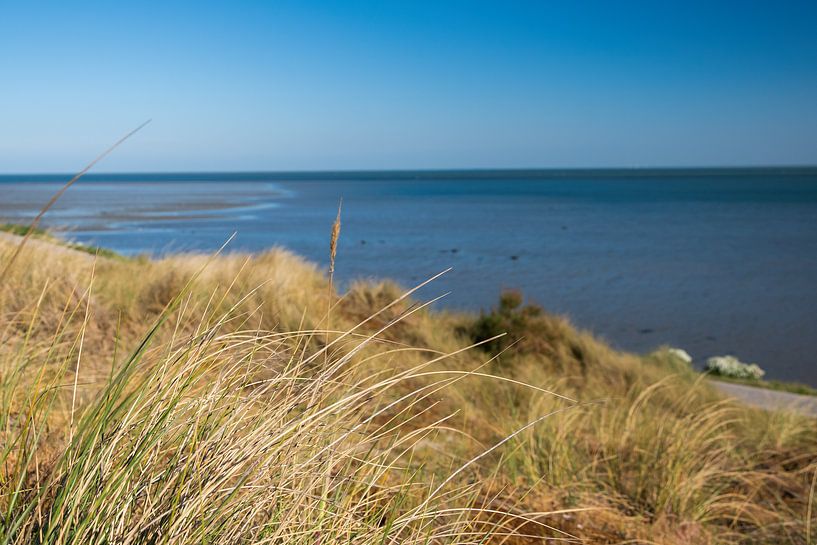Dünen auf Terschelling von Mirjam Welleweerd
