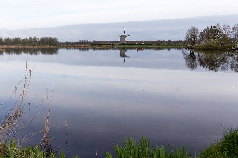 Twiskemolen van Jaap Mulder