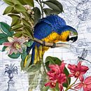 Blauer Papagei von christine b-b müller Miniaturansicht