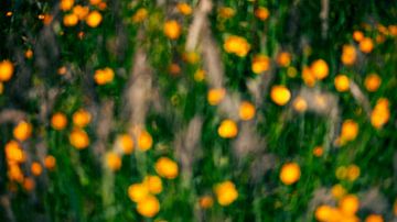 Sommer, abstrakt von Yanuschka Fotografie | Noordwijk