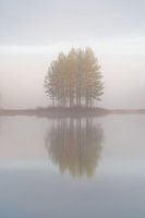 Small island in the fog.